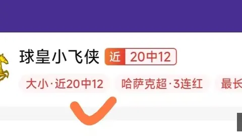 杏彩娱乐 054029 16
